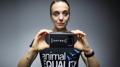 Amanda Abbington introduces iAnimal – 42 days in the life of chickens