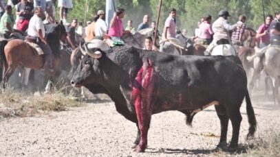 Blood Fiestas Spain | Animal Equality