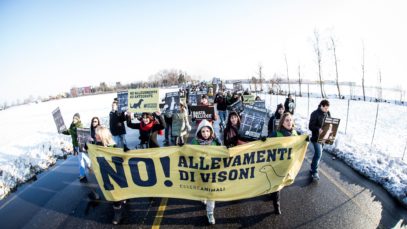 CORTEO! fermiamo l’allevamento di visoni di Antegnate.