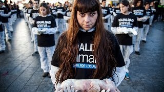 International Animal Rights Day 2012  | Madrid (Spain)