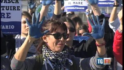 PROTESTA di fronte al delfinario Rimini – Servizio su TGR