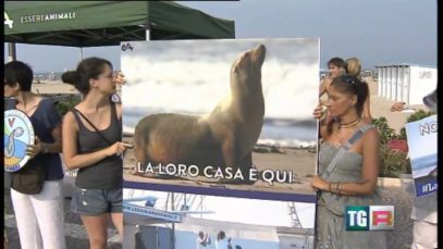 Servizio TGR Emilia Romagna sulla protesta al Delfinario di Rimini | Essere Animali