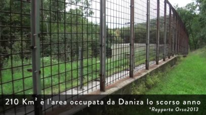 Azione per Daniza al Centro Forestale Casteller