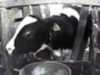 Cruelty to Baby Calves at Veal Farm in Ohio