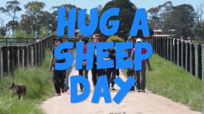 Hug a Sheep Day