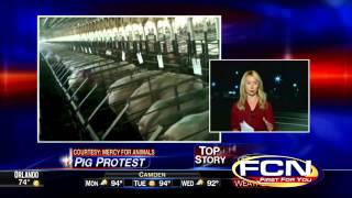 Mercy For Animals holds ‘Pig Protest’ at local Walmart