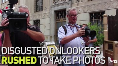 PETA Nude Activist Grilled Alive at Rib Festival