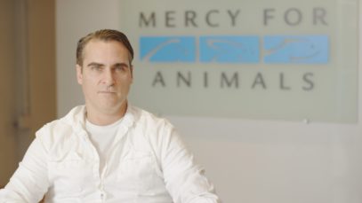 WATCH: Joaquin Phoenix Slams Walmart for Supporting Sickening Cruelty to Pigs