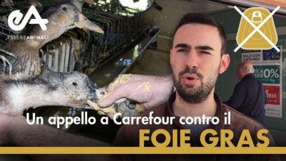 Carrefour vende foie gras: ecco cosa pensano i clienti