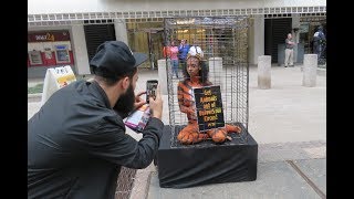 This Activist is Stripping Down for Animals in the Circus