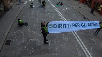 In azione per la Giornata Mondiale per i Diritti Animali