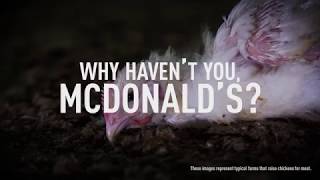 DISTURBING: Chickens Suffer for McDonald’s Menu