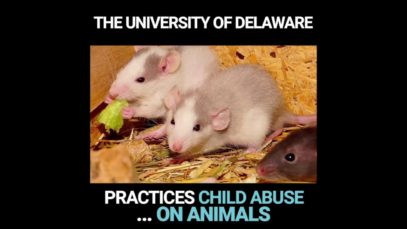 Drugs, Near Drowning, and Electric Shocks in ‘Child Abuse’ Experiments