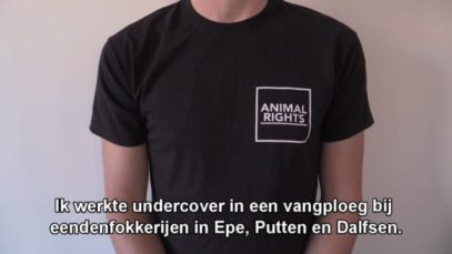 Eenden geschopt, bij de nek gepakt, doodgetrapt en doodgeslagen