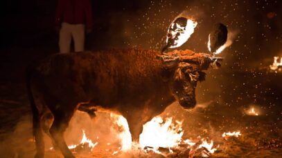 toro-jubilo-medinaceli