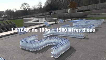 1 STEAK = 1500 litres d’eau