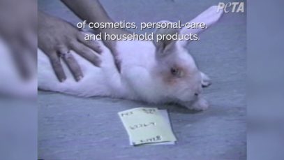 30 Years After PETA Exposed Cosmetics-Testing Lab, Here’s How Far We’ve Come