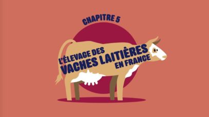 L214 EDUCATION / Les vaches et les produits laitiers