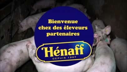 Pâté Hénaff : souffrance en boîte !