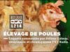 Élevage de poules en cages commentée par Hélène Gateau