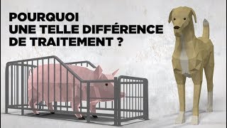 Pourquoi une telle différence de traitement ?