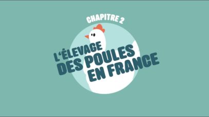 L214 EDUCATION / L’élevage des poules en France