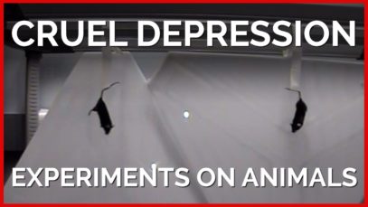 Cruel Depression Experiments on Animals