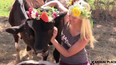 Rescued Calves in Flower Crowns