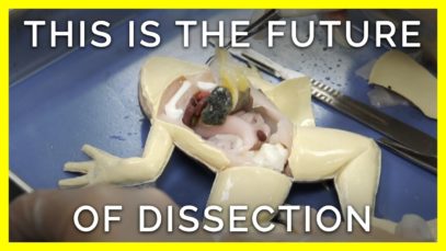 THIS is the Future of Dissection