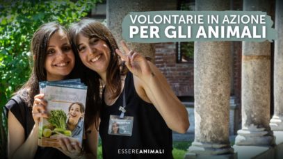 Volontarie in azione per gli animali