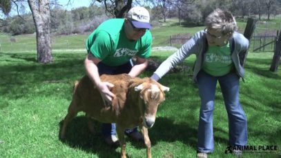 Volunteer Spotlight: Cara and Brent