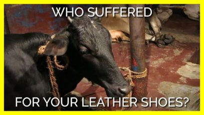 Who Suffered For Your Leather Shoes?