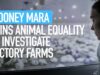 Rooney Mara Joins Animal Equality to Investigate Factory Farms – With My Own Eyes