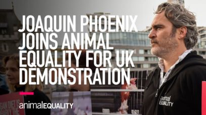 Joaquin Phoenix Joins Animal Equality for UK Demonstration