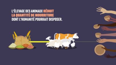 L214 EDUCATION Nourrir l’humanité #9 : Les impacts de l’industrie de la viande