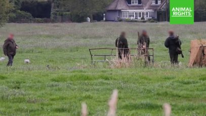 Jagers Breukelen blijven coronamaatregelen overtreden