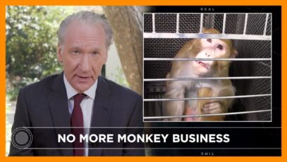 Bill Maher Calls Bullsh*t on NIH’s Cruel Experiments on Monkeys