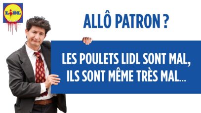 Allô Patron ? Les poulets Lidl sont mal, ils sont même très mal…