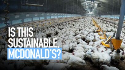 Is this Sustainable, McDonald’s?