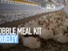 Gobble Meal Kit Cruelty