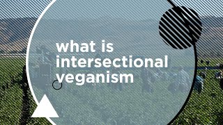 Social Justice + Veganism Ep.1 Intersectional Veganism