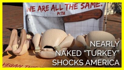 A Nearly Naked ‘Turkey’ is Shocking America