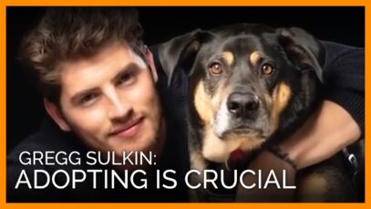 Actor Gregg Sulkin: ‘Adopting Is Crucial’