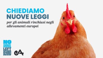 Nuova campagna per cambiare il futuro di milioni di animali in  Europa