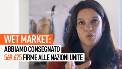 Wet market: abbiamo consegnato più di mezzo milione di firme alle Nazioni Unite