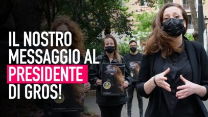 Basta gabbie: il nostro messaggio al Presidente di Gruppo Gros