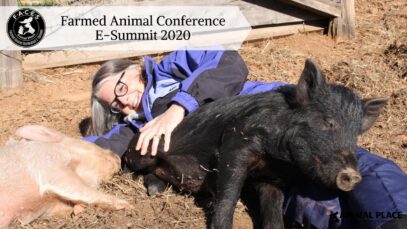 Farmed Animal Conference E-Summit 2020 – Official Trailer