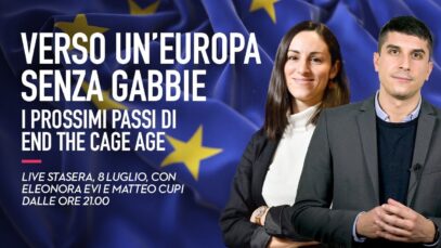 Verso un’Europa senza gabbie: i prossimi passi di End the cage Age