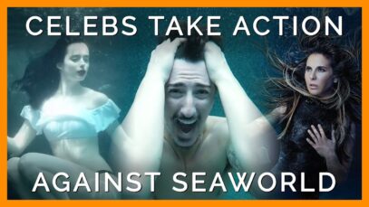 Celebrities Are Teaming Up With PETA to Stop SeaWorld From Exploiting Animals