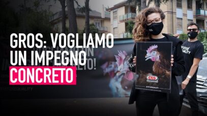 Gruppo Gros il nostro appello continua: è ora di dire basta gabbie!